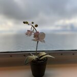 Photo taken by Anjana A