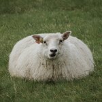 Photo taken by Jane V