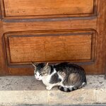 Photo taken by Lisa D