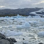 Photo taken by Janice R