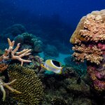 Photo taken by Nicholas P