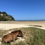 Photo taken by Anil C