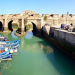 Photo taken by Cynthia T