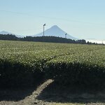 Photo taken by Reid S