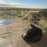 Photo taken by Marcos M