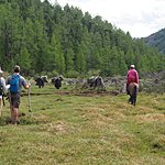 Photo taken by Kathleen L