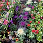 Photo taken by Barbara V