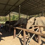 Photo taken by Edwin C