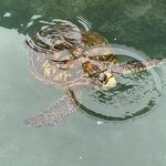 Photo taken by Lisa P