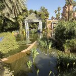 Photo taken by Pam L