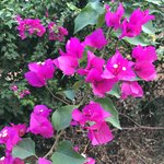 Photo taken by Andrew H