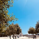 Photo taken by Susan W