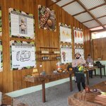 Photo taken by Tracye P