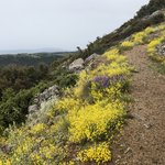 Photo taken by Shawn G