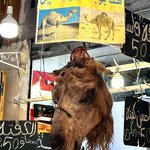 Photo taken by Julie A