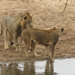 Photo taken by Kristin M