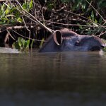 Photo taken by Matt W