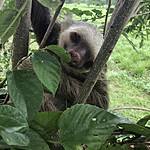 Photo taken by Michelle D