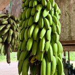 Photo taken by Sharon J