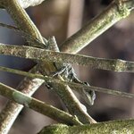 Photo taken by Dana F