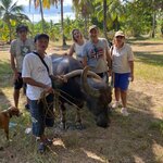 Photo taken by marisa s