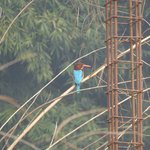 Photo taken by Arpita D