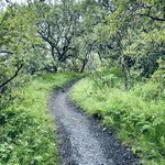 Photo taken by Donna T