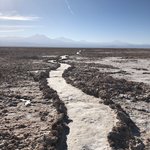 Path in Salar de Atacama | Photo taken by Melody B