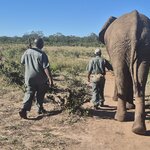 Photo taken by Kaye D