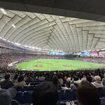 Photo taken by Sakura I