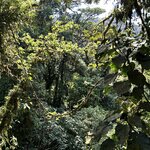 Photo taken by Beth Ann A