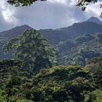 Photo taken by Luke T