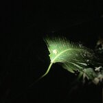 Photo taken by Tobi S