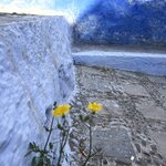 Photo taken by Kris C