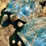 Photo taken by Katherine A