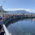 Photo taken by Jessica H