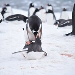 Photo taken by Greg M