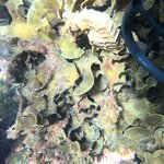 Photo taken by Nicole S