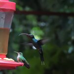 Photo taken by Mary D