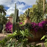 Photo taken by Christine S