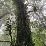 Photo taken by Mathew S