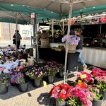 Photo taken by Tamaryn B