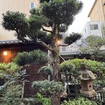 Photo taken by Abdul A