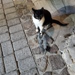 Photo taken by Patricia K