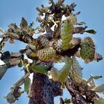 Photo taken by Katarzyna W