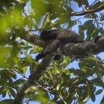 Photo taken by Blair H