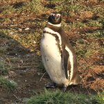 Photo taken by Stefani C