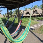 Photo taken by Mark B