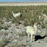 Photo taken by Ameet R