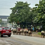 Photo taken by Joe S